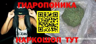 спиды Берёзовский