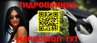 крисы Бийск