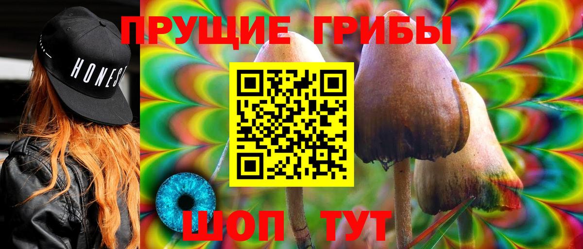 дарнет шоп  Псилоцибиновые грибы мухоморы  Вход с VPN  Кизилюрт 