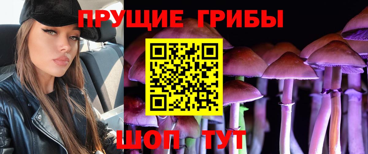 Галлюциногенные грибы мухоморы Кизилюрт